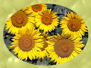 Lust auf ne geile Party mit älteren Frauen???